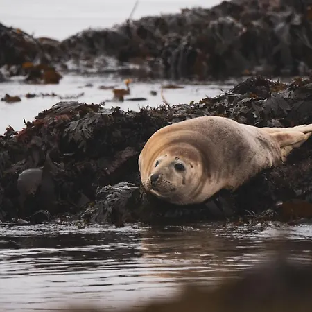 Sea Barn 度假居 *