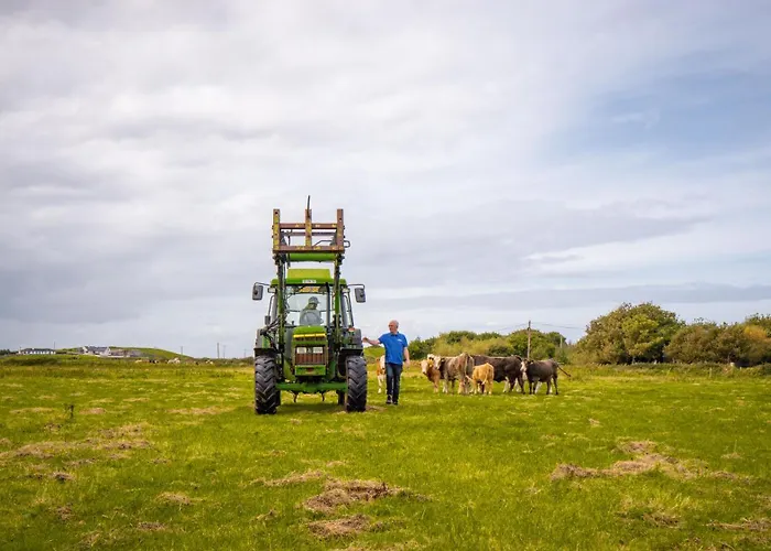 Sea Barn Semesterbostad