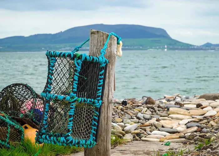 Ferienhaus Sea Barn *